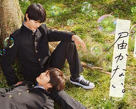 国外优化网站有哪些